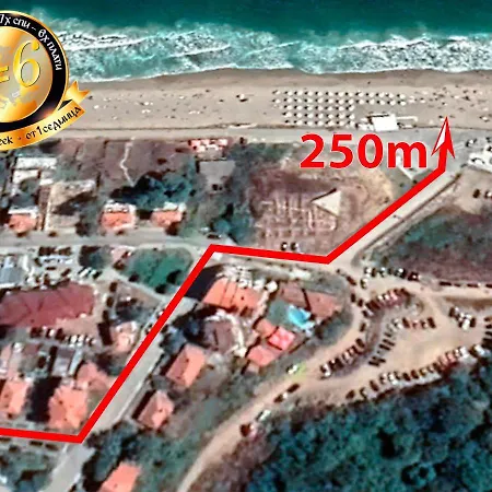 Dicev 3* 오브조르